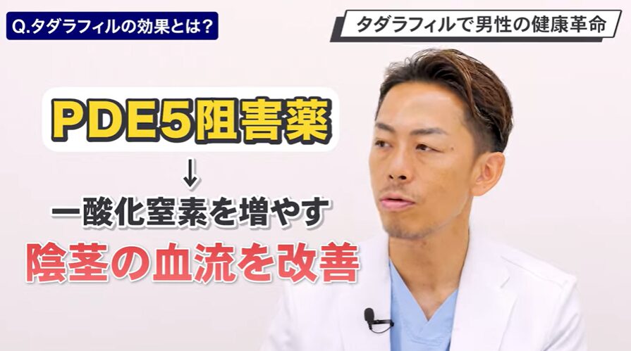 タダラフィルがPDE5阻害薬という分類の薬であることと、その効果の図解画像