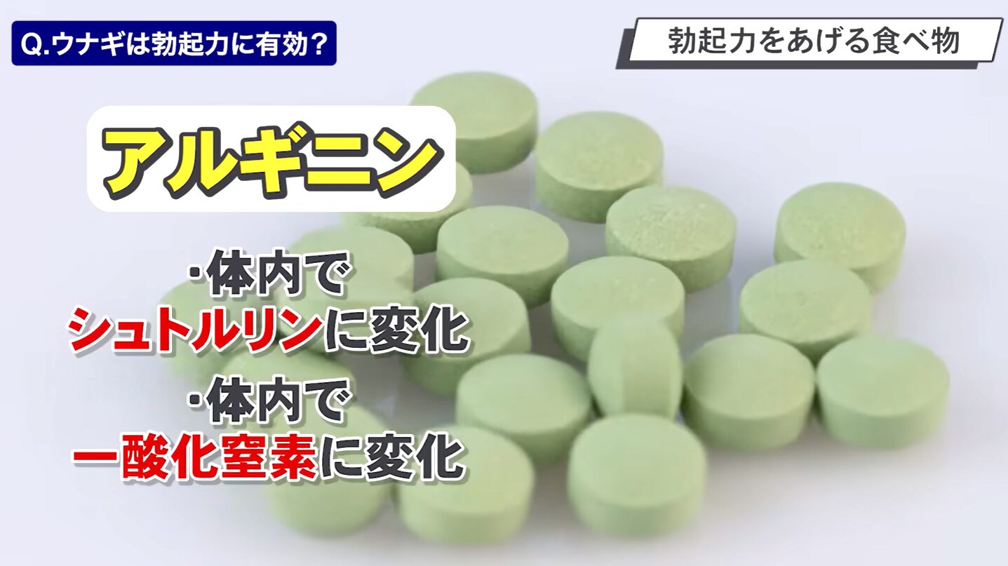 アルギニンが代謝されると体内でシトルリンと一酸化窒素に変化することの図解イラスト