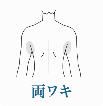 両ワキ