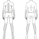 メンズ医療脱毛のコースごとの適用範囲イラスト（全身脱毛）